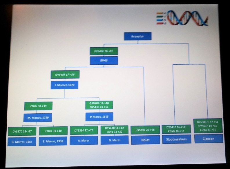 Genetic Variation in the Netherlands in the Last 2000 Years-b