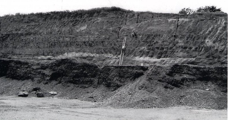 De belvédère groeve in 1908