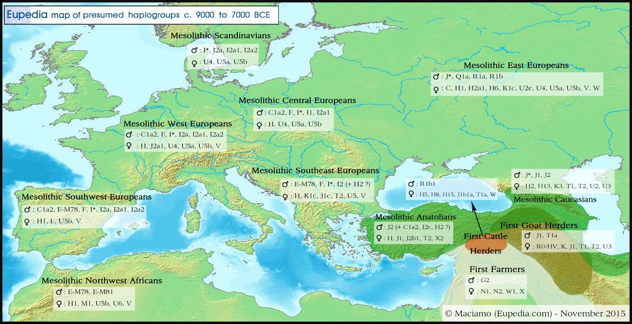 Distribution_haplogroups_in_Eurasia_around_8000_BCE 