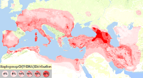 The haplogroup G distibution