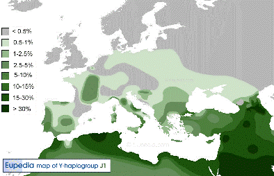 Y-DNA Haplogroup J1