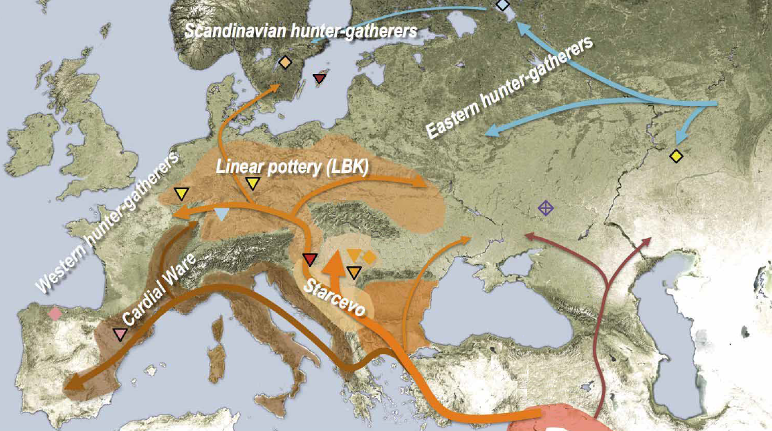 Neolothic expansion routes