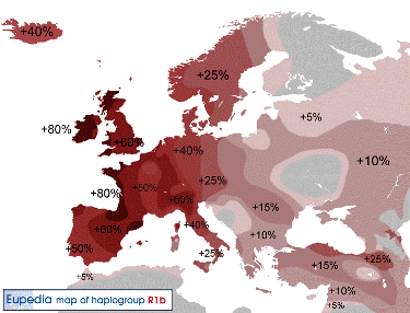 Y-DNA Haplogroep R1b