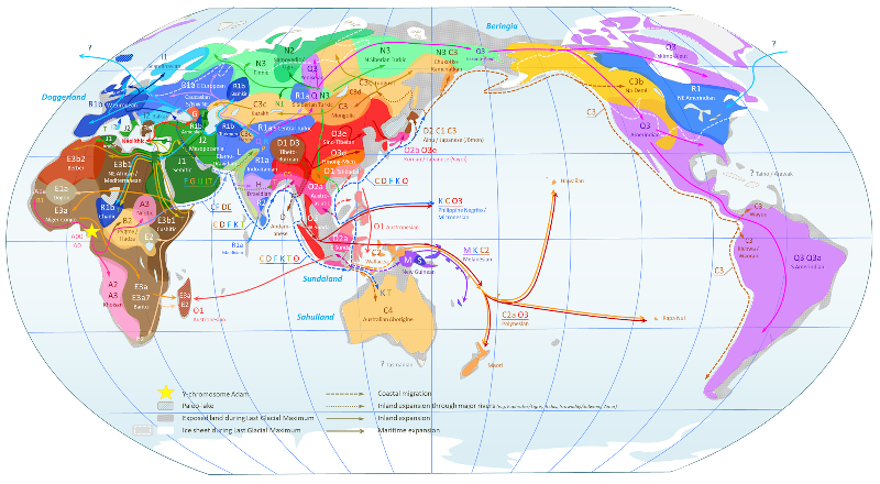 World_Map_of_Y-DNA_Haplogroups