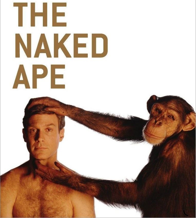 Naked ape, Desmond Morris
