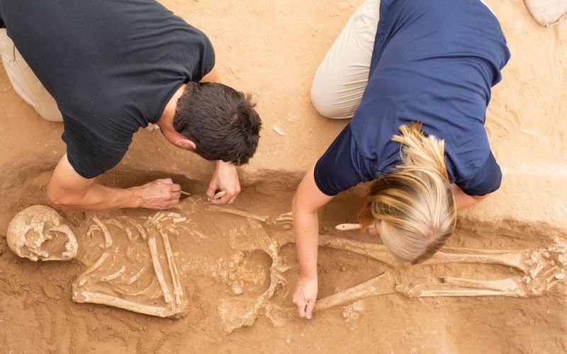 Excavation of the Philistine cemetery at Ashkelon - Melissa Aja - Courtesy Leon Levy Expedition to Ashkelon