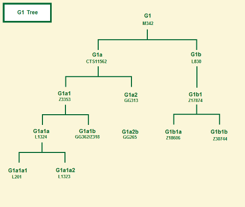 Haplogroup G2a1 tree