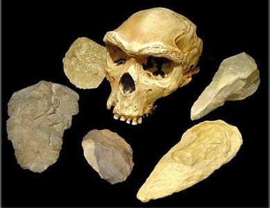 homo_heidelbergensis_schedel_en_vuistbijlen